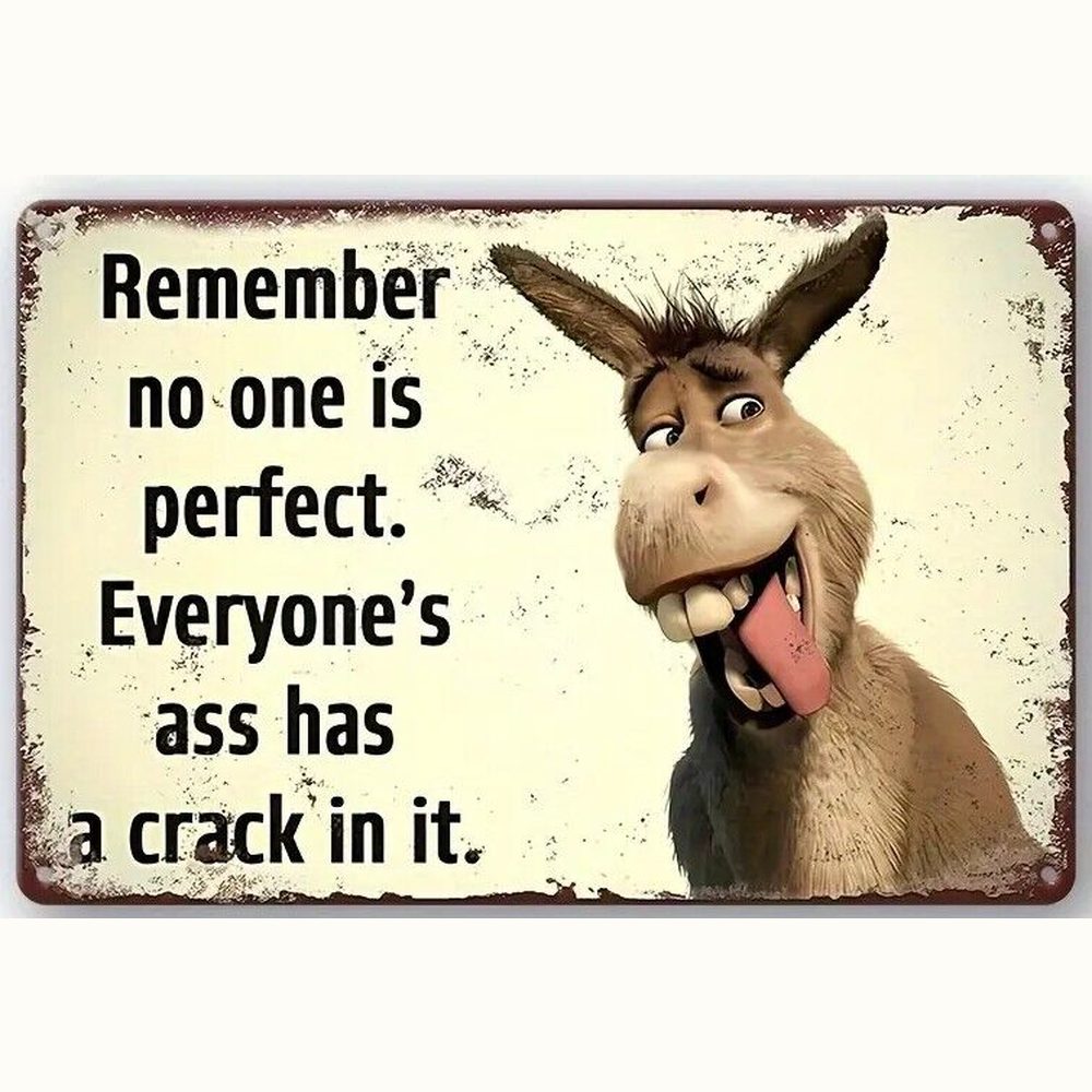 Remember No One is Perfect Humorous Novelty Metal Sign 8" x 12" Wall Art Home & Garden:Home Décor:Plaques & Signs Style Your Walls
